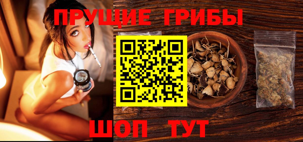 Реж  Псилоцибиновые грибы Cubensis  Вход с VPN 